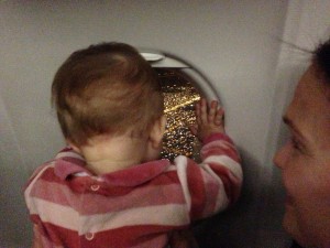 IMG_3793